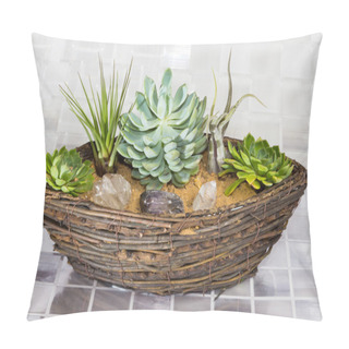 Personality  Echeveria And Tillandsia Growing In A Basket Pillow Covers