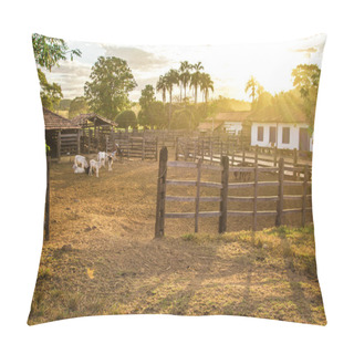 Personality  Corral. Brazilian Farm In Pirenopolis Pillow Covers