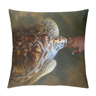 Personality  Sea Turtle Touching Hand Of Woman Pillow Covers