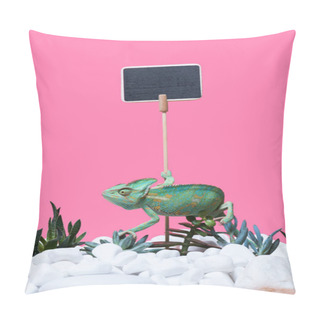Personality  Beautiful Exotic Chameleon Crawling On Stones And Succulents, Blank Sign Isolated On Pink  Pillow Covers