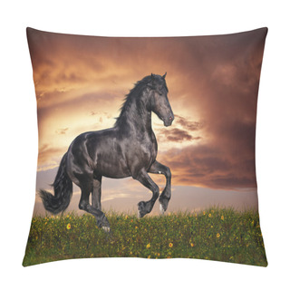 Personality  Black Friesian Horse Gallop Pillow Covers