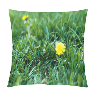 Personality  Yellow Blooming Dandelions On Spring Meadow Pillow Covers