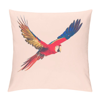 Personality  Flying Parrot Toned Pillow Covers