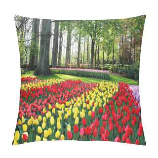 Personality  Mix Of Holland Tulips And Hyacinths Pillow Covers