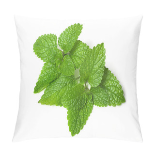 Personality  Fresh Green Leaf Of Melissa Pillow Covers