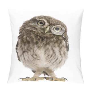 Personality  Little Owl, 50 Days Old, Athene Noctua, Standing In Front Of A White Background Pillow Covers
