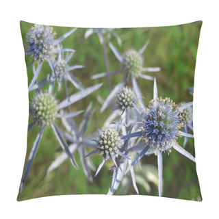 Personality  Unusual Wildflowers - Thistle In The Field          Pillow Covers