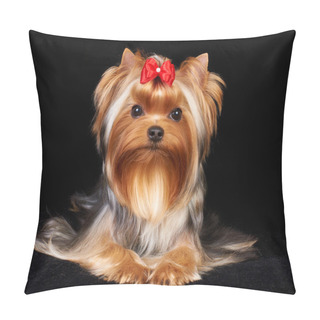 Personality  Beautiful Yorkshire Terrier Pillow Covers