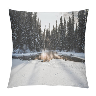Personality  Banff National Park, Alberta, Canada Pillow Covers