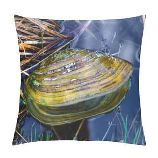 Personality   Freshwater Mussel Shell (anodonta Cygnea) In Clean Water Of The River In Ukraine. Pillow Covers