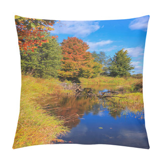 Personality  Golden Autumn On The River Luga, Novgorod Oblast, Russia Pillow Covers