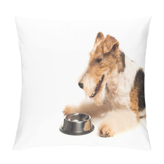 Personality  Curly Fox Terrier Lying Near Bowl With Pet Food Isolated On White Pillow Covers