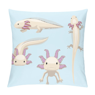 Personality  Animal Poses Salamander Axolotl Cartoon Character Vector Pillow Covers