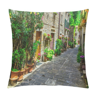 Personality  Italian Street In  Town Of Tuscan Pillow Covers