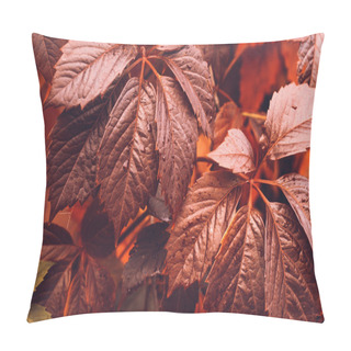 Personality  Autumn Virginia Creeper Pillow Covers