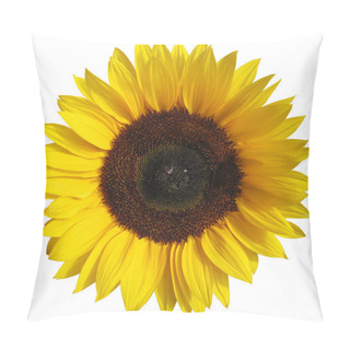 Personality  The Sunflower Isolated On White Background With A Clipping Path Pillow Covers