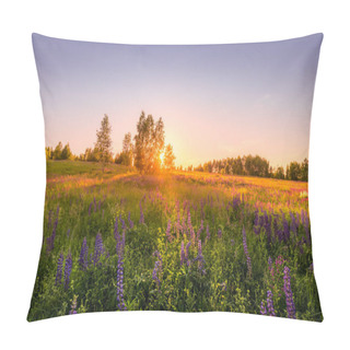 Personality  Sunset Or Dawn On A Field With Purple Lupins, Wild Carnations And Young Birches In Clear Summer Weather And A Clear Cloudless Sky. Landscape. Pillow Covers