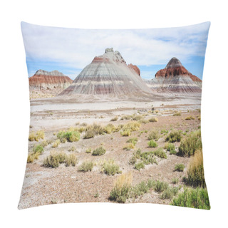 Personality  Petrified Forest National Park Pillow Covers