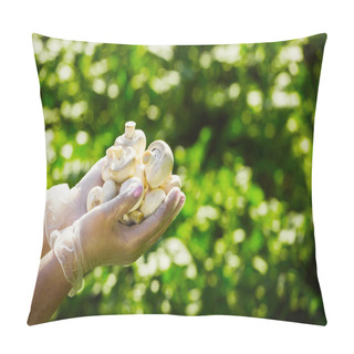 Personality  Close-up Of A Farmer's Hand In Rubber Transparent Gloves Hold Mushrooms Champignons Pillow Covers