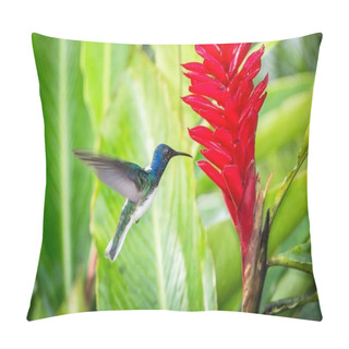 Personality  White-necked Jacobin Hovering Next To Red Flower In Rain,tropical Forest, Peru, Bird Sucking Nectar From Blossom In Garden,beautiful Hummingbird With Outstretched Wings,nature Wildlife Scene Pillow Covers