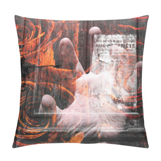 Personality  Grunge Composition With Skeletal Figure, French Posting, And Flowers Pillow Covers
