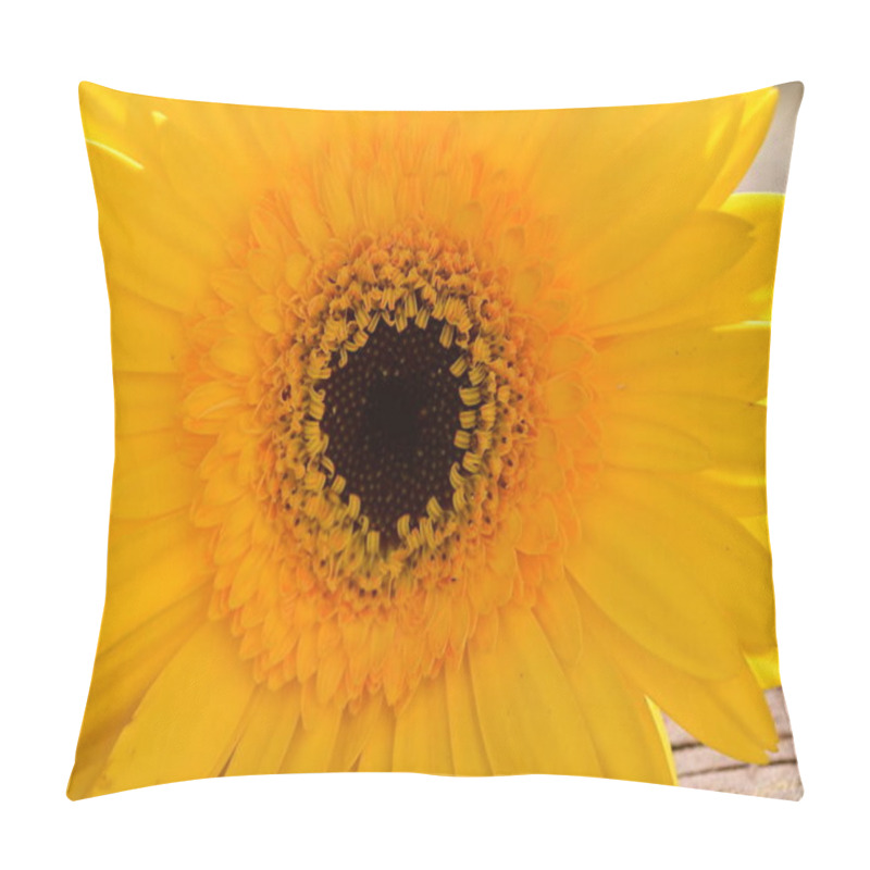 Personality  beautiful yellow gerbera flower on wooden background, summer concept, close view   pillow covers