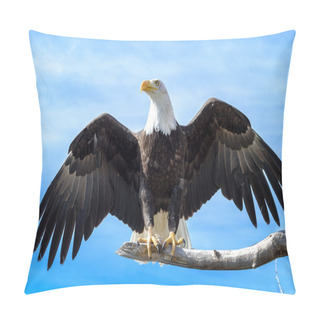 Personality  Bald Eagle Pillow Covers