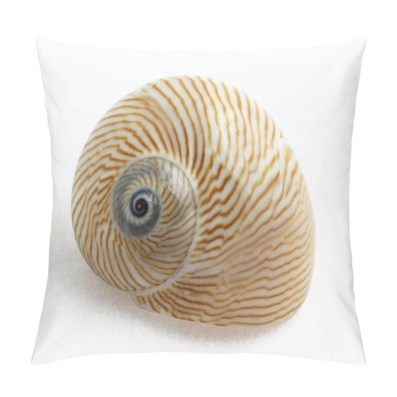 Personality  Lined moon snail pillow covers