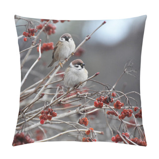 Personality  One Of The Most Common Bird Species, The Sparrow (Passer) Sits On A Tree Branch Pillow Covers