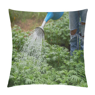 Personality  Worker Hands Watering  Young Marigold Flower With Watering Can . Pillow Covers