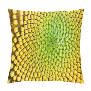 Personality  Mid-blooming Sunflower Before The Appearance Of Seeds. Yellow Gr Pillow Covers