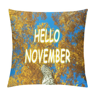 Personality  Autumn Countryside Landscape. Forest In The Background. Nature Background With Lettering Hello November. Pillow Covers