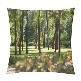 Personality  Selective Focus Of Trees With Green Leaves In Tranquil Park Pillow Covers