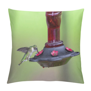 Personality  Hummingbird At Feeder Pillow Covers