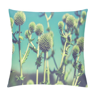 Personality  Thistle Flowers In Bloom Pillow Covers