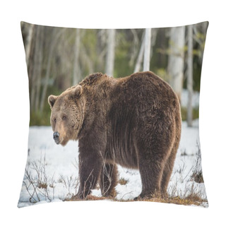 Personality  Brown Bear On Snow-covered Swamp Pillow Covers