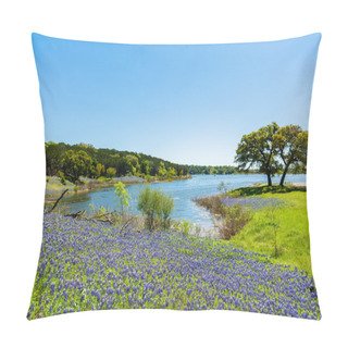Personality  Beautiful Texas Bluebonnets Pillow Covers