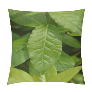 Personality  Laurel Leaves Pillow Covers