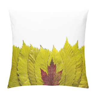 Personality  Elm Tree Leaves With Red Maple Background Pillow Covers