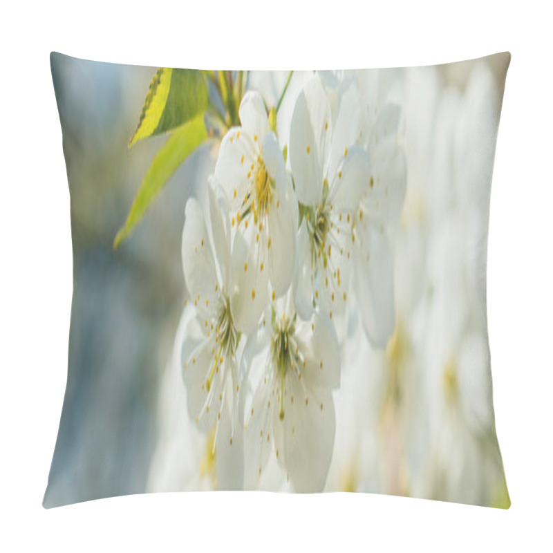 Personality  panoramic concept of white cherry blossom with green leaves pillow covers