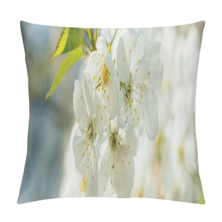 Personality  Panoramic Concept Of White Cherry Blossom With Green Leaves Pillow Covers