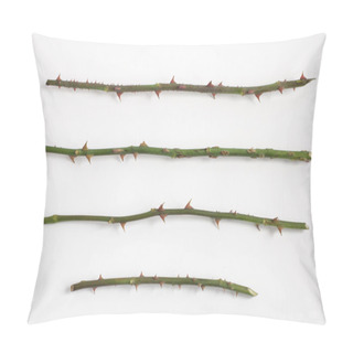 Personality  Rose Stalks With Thorns Pillow Covers