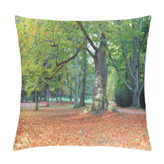 Personality  Huge Old Beech In Autumn Park Pillow Covers