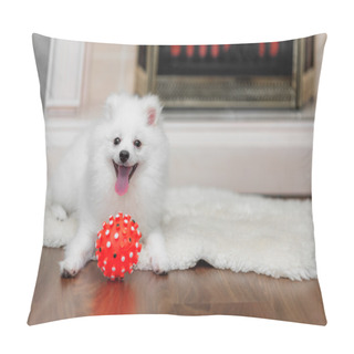 Personality  Pomeranian Spitz With Dog Toy Pillow Covers