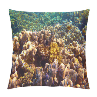 Personality  Beautiful Tropical Coral Reef In Sea Pillow Covers