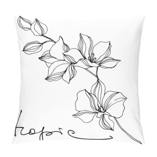 Personality  Vector Tropical Floral Botanical Flower. Black And White Engraved Ink Art. Isolated Flowers Illustration Element. Pillow Covers