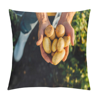 Personality  Cropped View Of Rancher Holding Fresh Potatoes In Cupped Hands, Selective Focus Pillow Covers