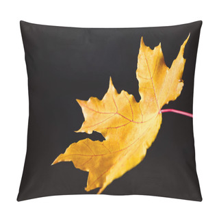 Personality  One Yellow Maple Leaf Isolated On Black, Autumn Background Pillow Covers