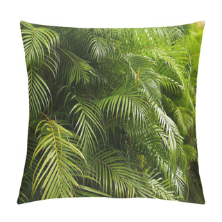 Personality  Green Leaves Of The Fern Pillow Covers