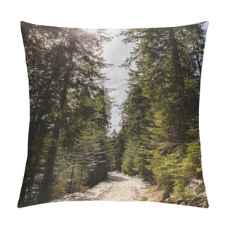 Personality  Pathway With Snow In Evergreen Forest In Spring  Pillow Covers